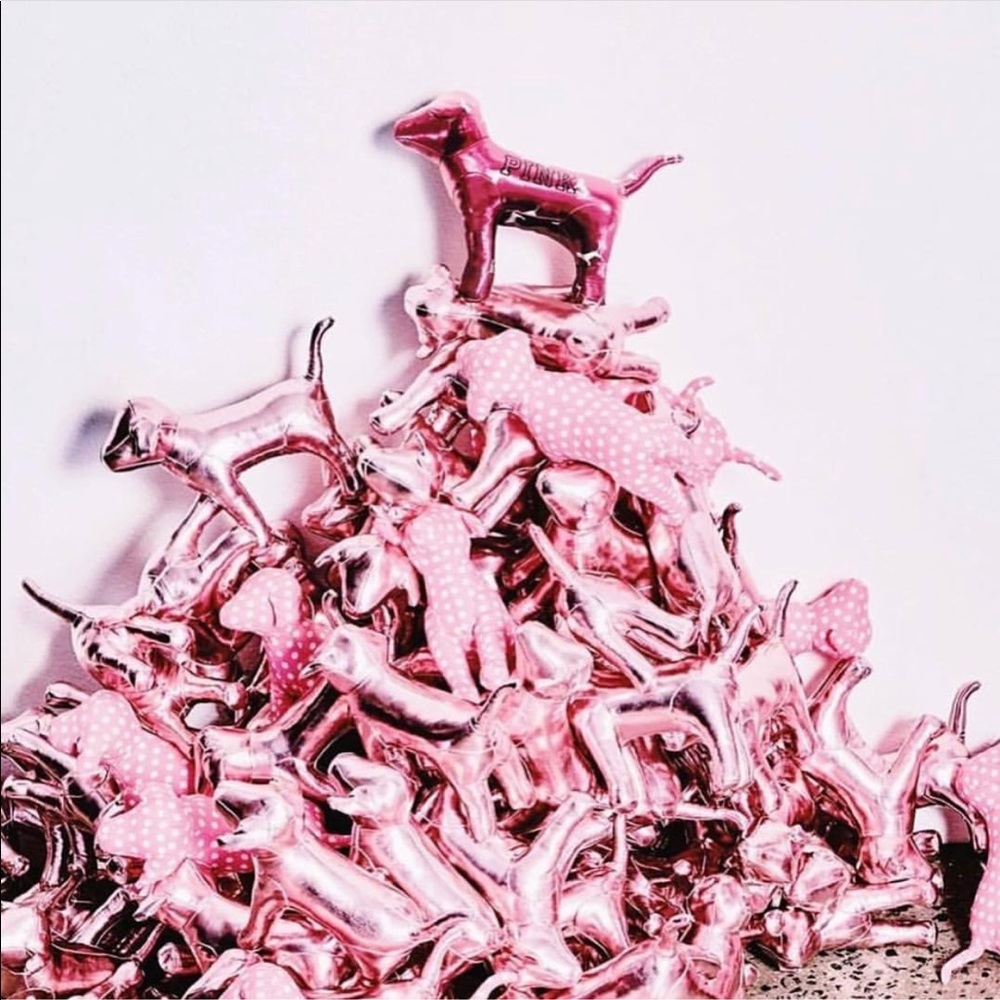 VS PINK Dog